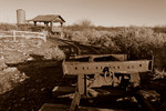 photo thumbnail #7