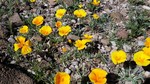 photo thumbnail #10
