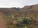 photo thumbnail #6