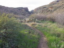 photo thumbnail #10