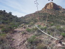 photo thumbnail #15