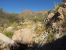 photo thumbnail #4