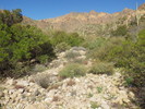 photo thumbnail #11