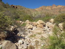 photo thumbnail #15