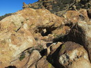 photo thumbnail #2