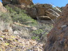 photo thumbnail #4