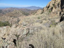 photo thumbnail #6
