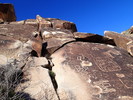 photo thumbnail #8