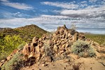 photo thumbnail #6