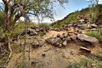 photo thumbnail #9