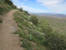photo thumbnail #1