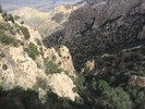 photo thumbnail #11