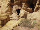 photo thumbnail #1