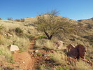 photo thumbnail #3