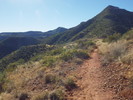 photo thumbnail #7
