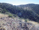 photo thumbnail #9