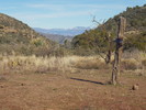 photo thumbnail #13