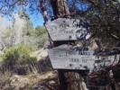 photo thumbnail #15
