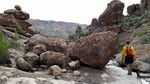 photo thumbnail #6