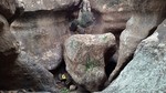 photo thumbnail #11