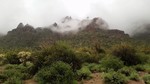 photo thumbnail #13