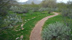 photo thumbnail #4
