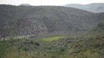 photo thumbnail #8