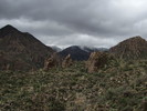 photo thumbnail #14