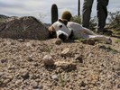 photo thumbnail #5