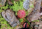 photo thumbnail #5