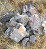 photo thumbnail #1