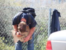 photo thumbnail #12