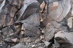 photo thumbnail #3
