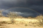 photo thumbnail #13