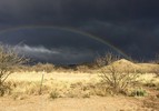 photo thumbnail #14