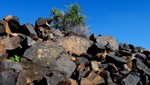 photo thumbnail #12