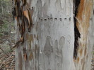 photo thumbnail #11