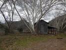 photo thumbnail #14