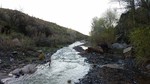 photo thumbnail #12