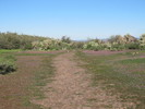 photo thumbnail #2