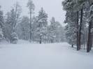photo thumbnail #6