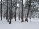 photo thumbnail #13