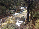 photo thumbnail #4