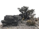 photo thumbnail #5