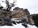 photo thumbnail #12