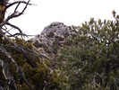 photo thumbnail #13