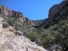 photo thumbnail #11