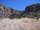 photo thumbnail #13