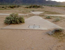 photo thumbnail #8