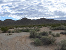 photo thumbnail #11